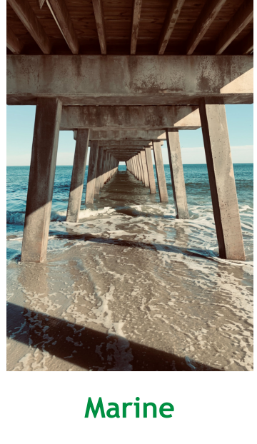 Deenanath Mangeshkar Hospital